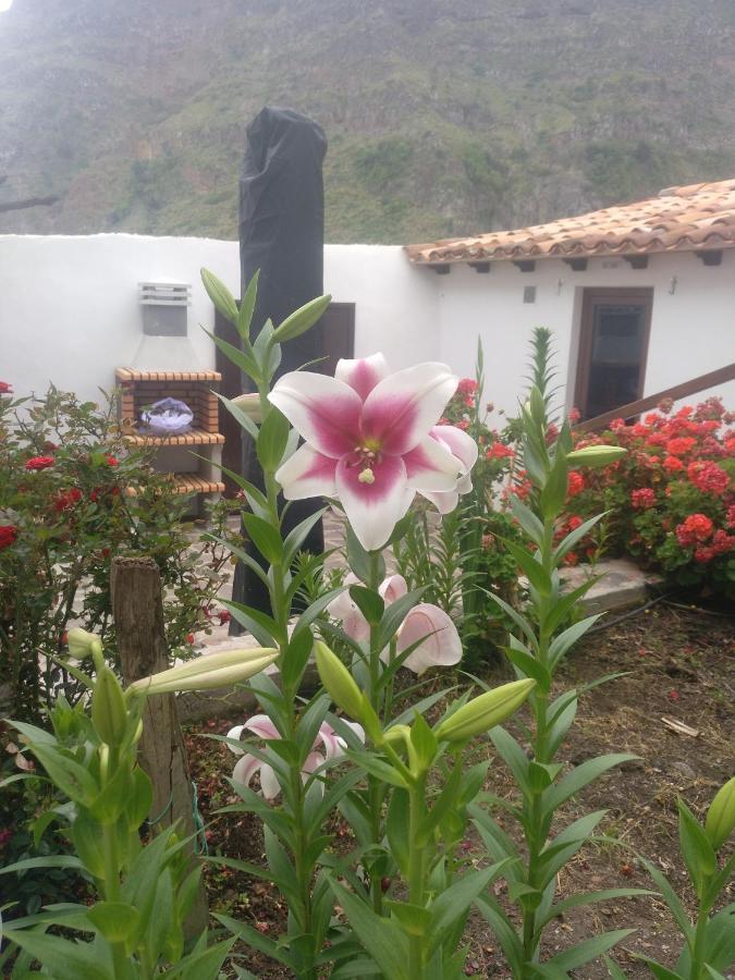 Casa La Plaza Villa Agulo Kültér fotó